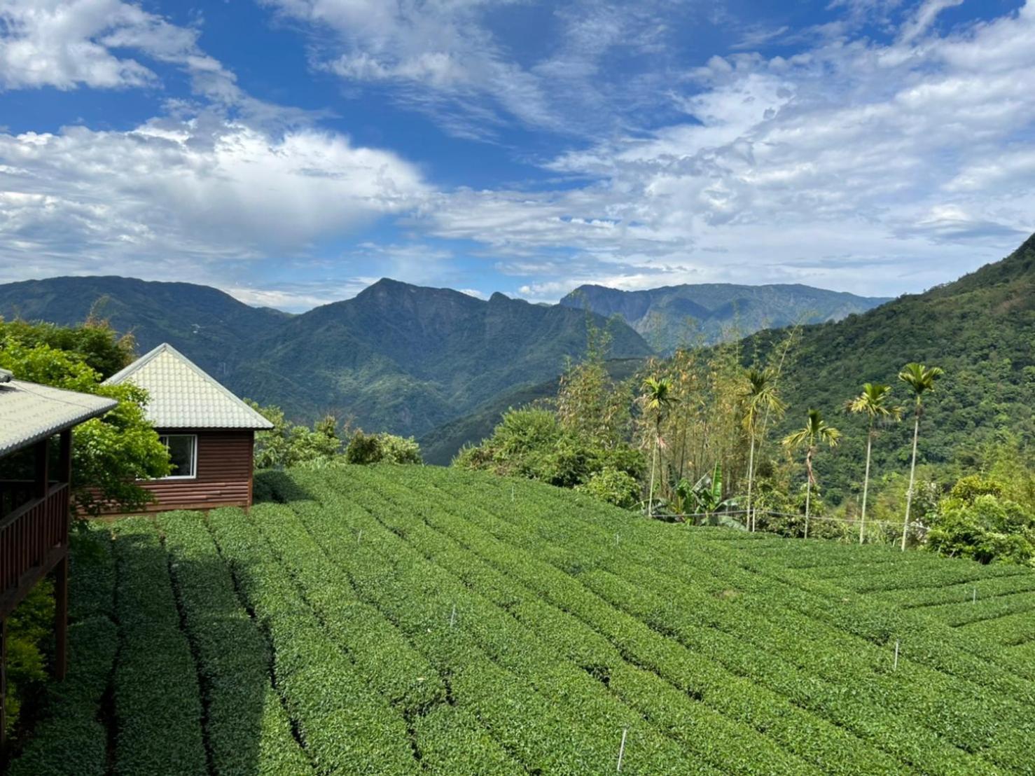 Ye Jiang Hua Homestay Meishan Exteriér fotografie